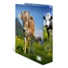Segtuvas A4 Herma 20140, kartoninis, A4 formato, vienetinis, įvairiaspalvis