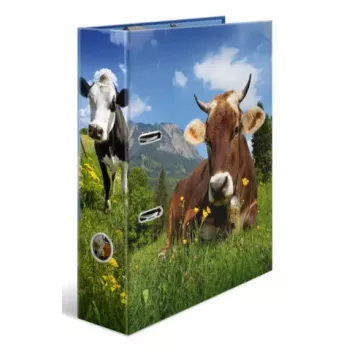 Segtuvas A4 Herma 20140, kartoninis, A4 formato, vienetinis, įvairiaspalvis