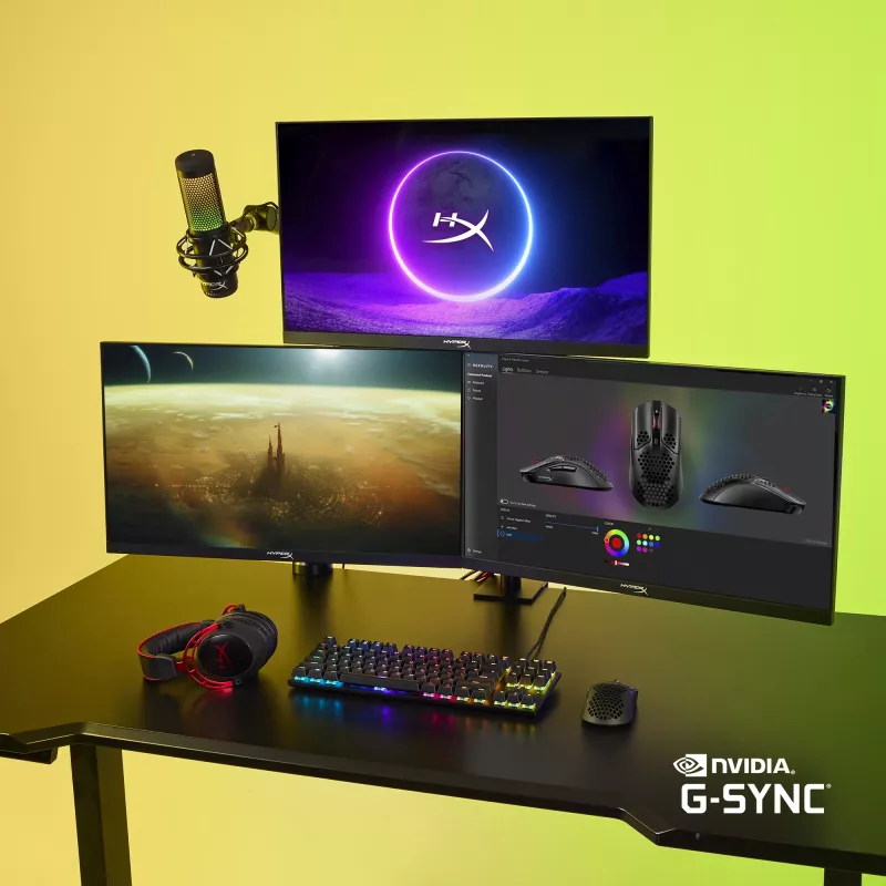 HyperX Armada 25 FHD žaidimų monitorius