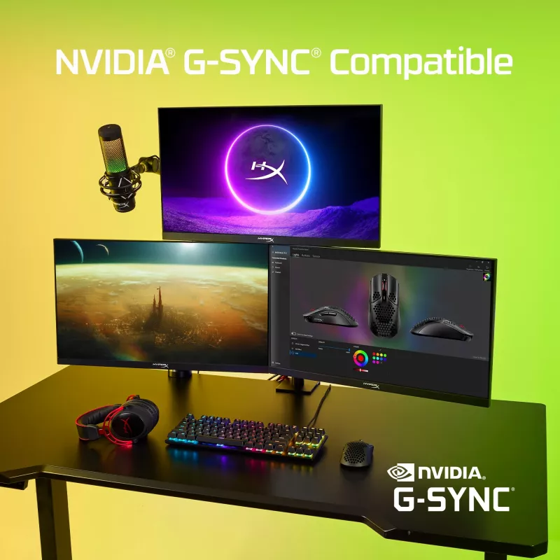 HyperX Armada 25 FHD žaidimų monitorius