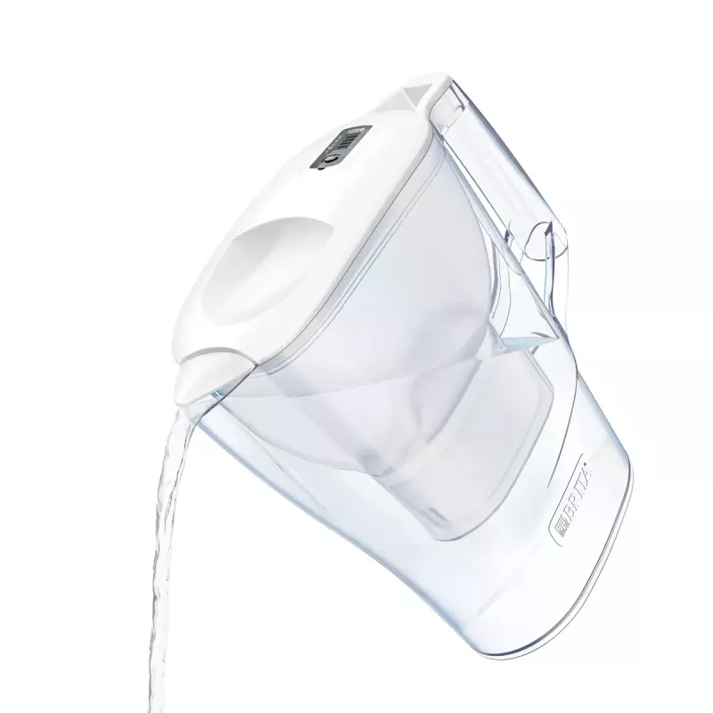 Vandens filtras ąsotis Brita Aluna Cool 2,4 L