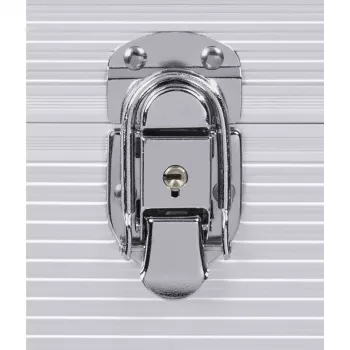 Hama 00181435 laikmenų dėklas Microgroove plokštelių dėklas Sidabrinis