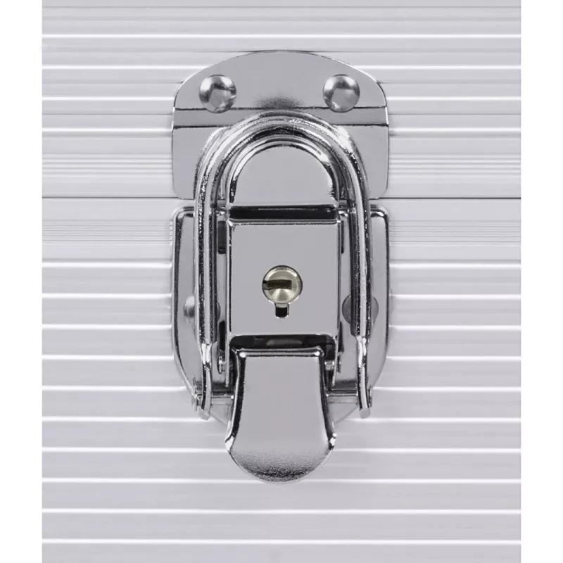 Hama 00181435 laikmenų dėklas Microgroove plokštelių dėklas Sidabrinis