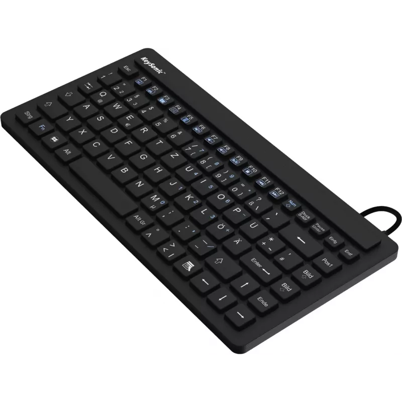 KeySonic KSK-3230IN (US) klaviatūra Pramoninė USB QWERTY JAV anglų Juoda