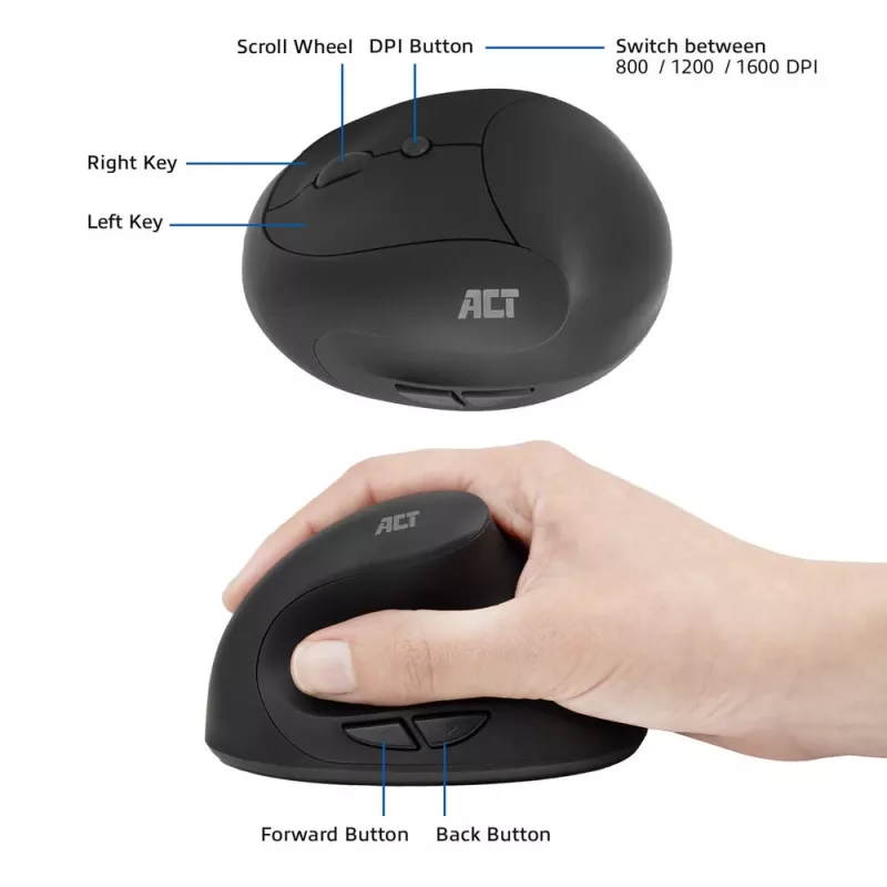 Pelė ACT Belaidė ergonominė pelė 1600 DPI RF Belaidė
