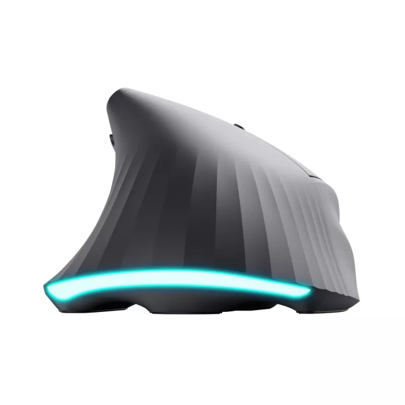 Žaidimų pelė TRUST GXT 145 Rexxa dešiniarankiams USB Type-A 12800 DPI, laidinė, RGB ratukas, juoda