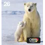 “Epson Polar bear” daugialypė pakuotė, 4 spalvų, 26 EasyMail, standartinė išeiga, juoda, žydra, purpurinė, geltona, pigmentinis rašalas, dažų pagrindo rašalas, 6,2 ml, 4,5 ml