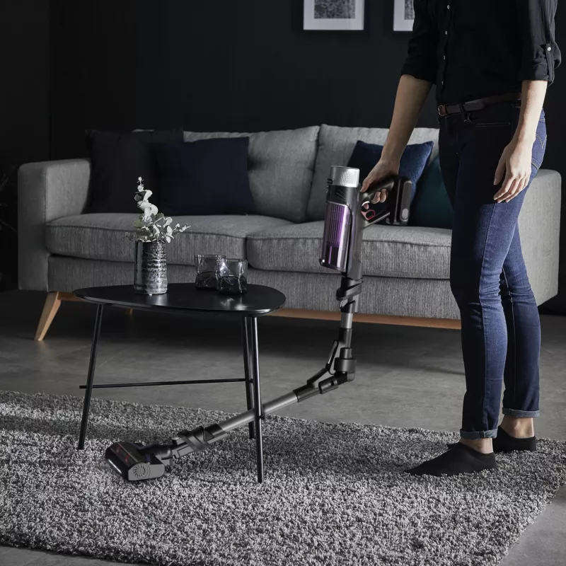 Rowenta RH2037 2-in-1 stiebo dulkių siurblys Baterija Sausas Be maišelio 0,4 L 250 W Juoda, Violetinė