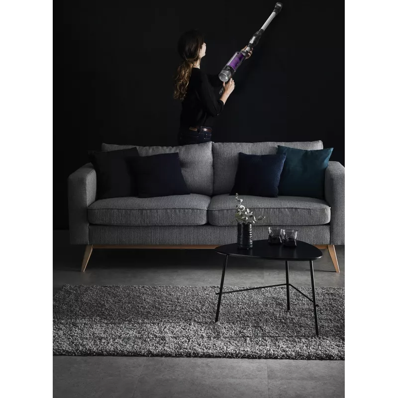 Rowenta RH2037 2-in-1 stiebo dulkių siurblys Baterija Sausas Be maišelio 0,4 L 250 W Juoda, Violetinė