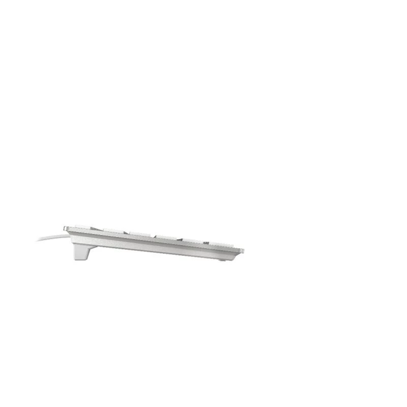 CHERRY KC 6000 plonas FOR MAC klaviatūra, biuro, USB, AZERTY, prancūzų, sidabrinė