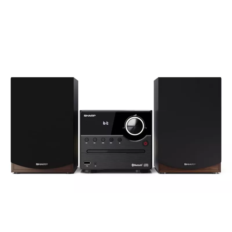 Sharp XL-B512(BR) namų garso sistema Namų garso mikrosistema 45 W Ruda