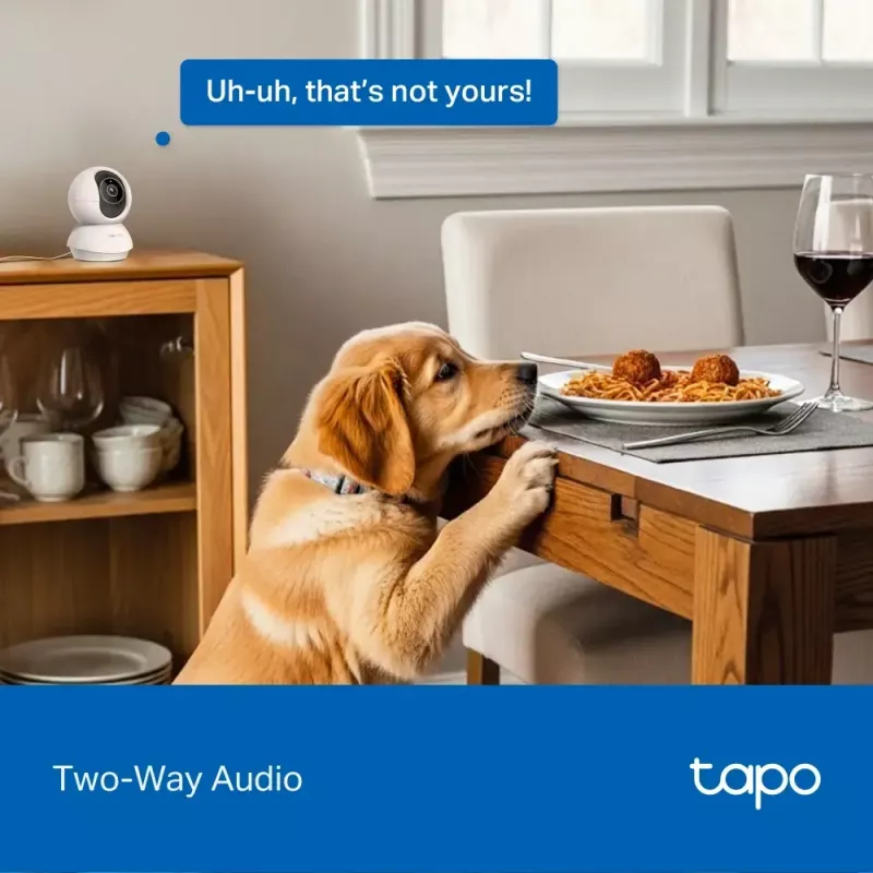 TP-LINK Tapo C250 | Pan/Tilt AI namų apsaugos Wi-Fi kamera | PTZ | 8 MP | 4mm/F1.6 | H.265 | „MicroSD“ kortelė iki 512 GB