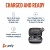 HP Poly Voyager Free 60 UC M Carbon Juoda Earbuds +BT700 USB-C Adapter +Basic Charge Case