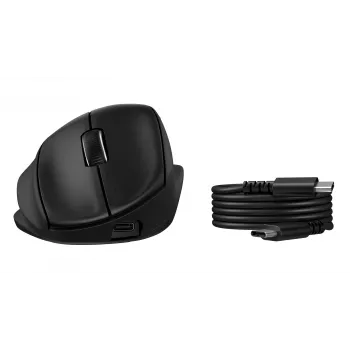 Belaidė ergonominė pakreipiama pelė HP Tilt Ergonomic 725M, juoda