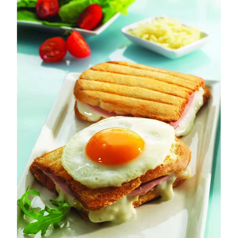 Pakaitinė plokštė Tefal XA800112, skirta Snack Collection / SnackTime – juoda, 242×155×44 mm, 2 vnt. pakuotėje