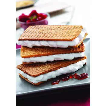 Pakaitinė plokštė Tefal XA800512, skirta Snack Collection / SnackTime, juoda, 242×155×44 mm, pakuotėje 2 vnt.