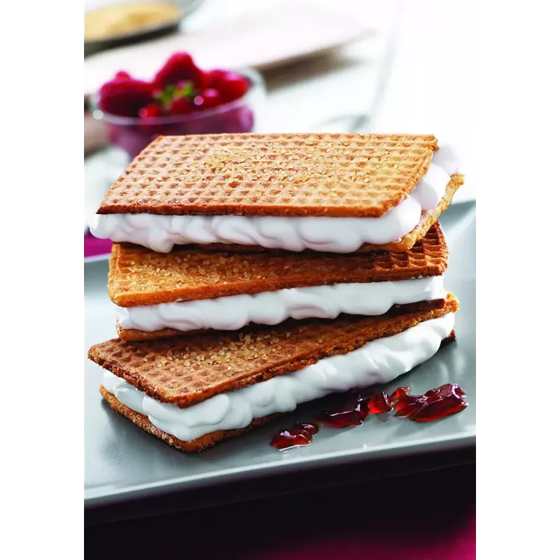 Pakaitinė plokštė Tefal XA800512, skirta Snack Collection / SnackTime, juoda, 242×155×44 mm, pakuotėje 2 vnt.