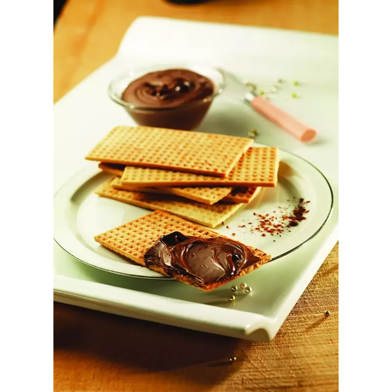 Pakaitinė plokštė Tefal XA800512, skirta Snack Collection / SnackTime, juoda, 242×155×44 mm, pakuotėje 2 vnt.