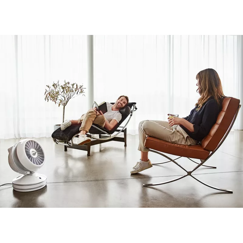 Rowenta HQ7152 patalpų ventiliatorinis elektrinis šildytuvas, baltas, sidabrinis