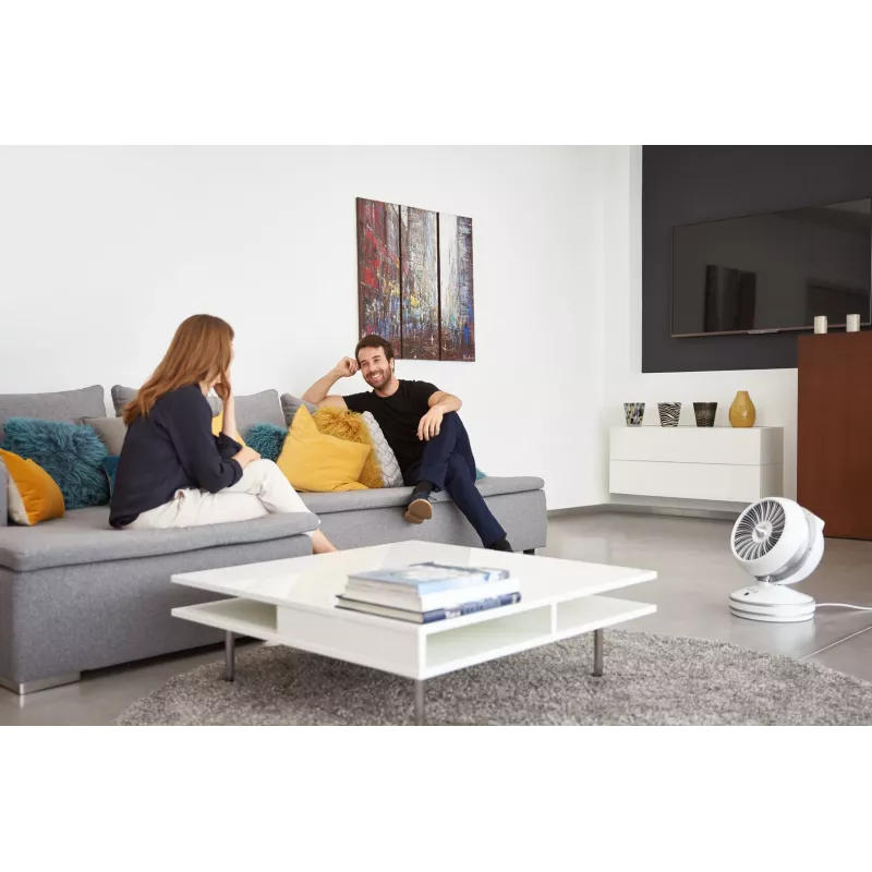 Rowenta HQ7152 patalpų ventiliatorinis elektrinis šildytuvas, baltas, sidabrinis