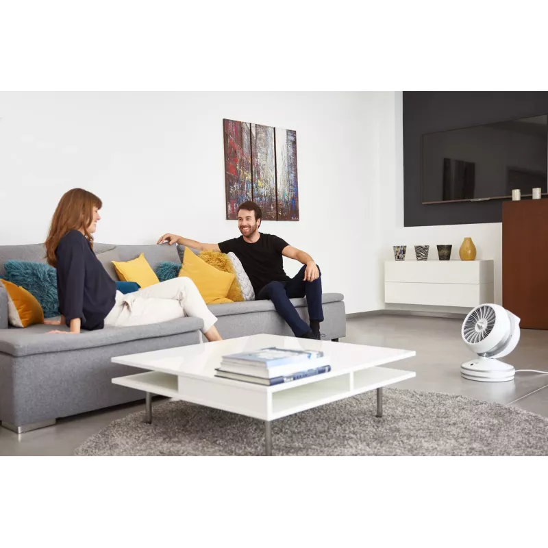 Rowenta HQ7152 patalpų ventiliatorinis elektrinis šildytuvas, baltas, sidabrinis
