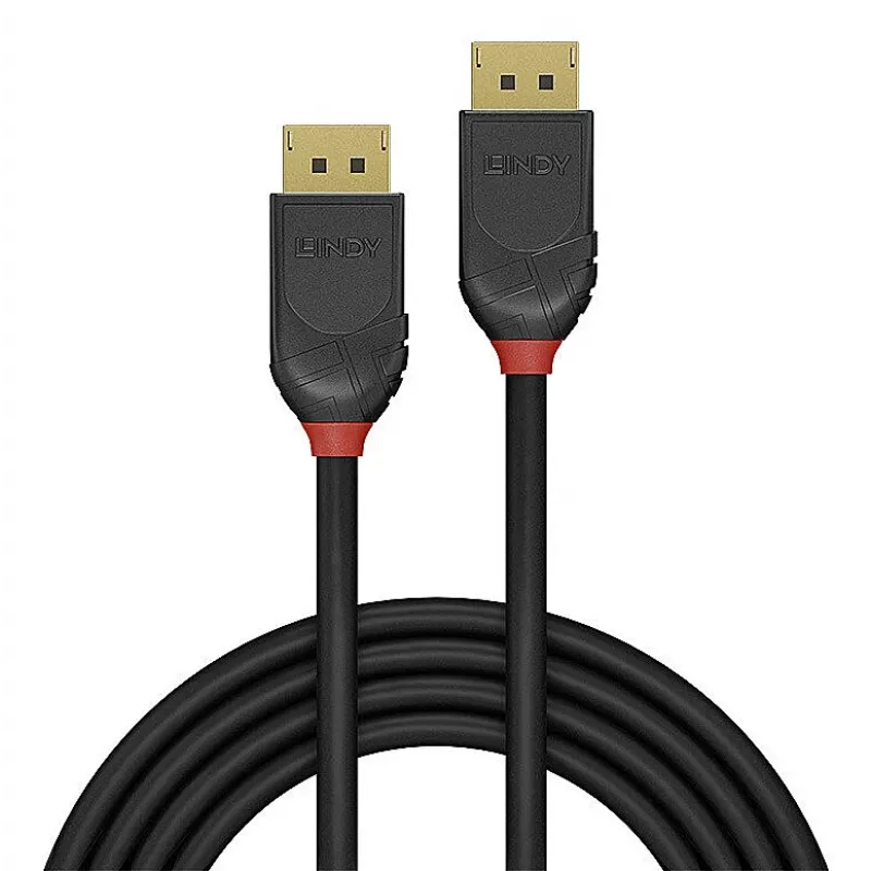Lindy 36516 DisplayPort kabelis 1 m juodas
