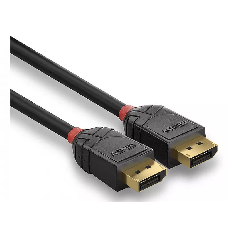 Lindy 36516 DisplayPort kabelis 1 m juodas