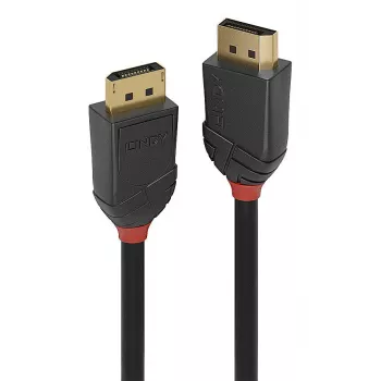 Lindy 36519 DisplayPort laidas 5 m Juodas