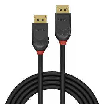 Lindy 36519 DisplayPort laidas 5 m Juodas