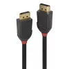 Lindy 36520 DisplayPort kabelis 1 m Juodas