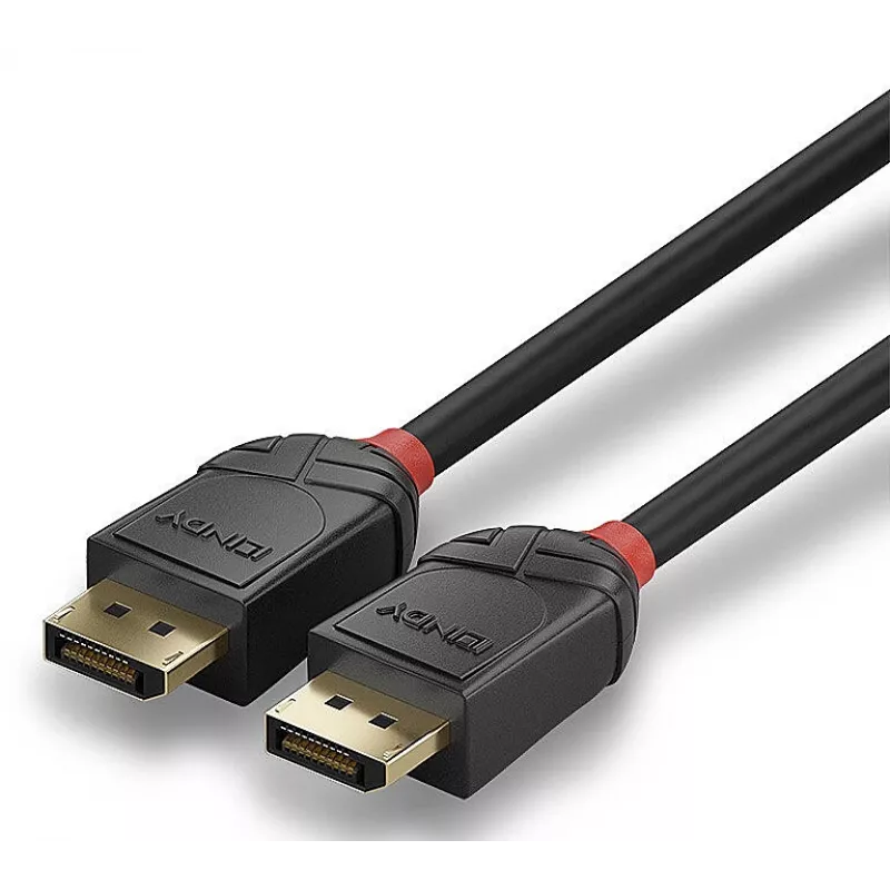 Lindy 36521 DisplayPort laidas 2 m Juodas