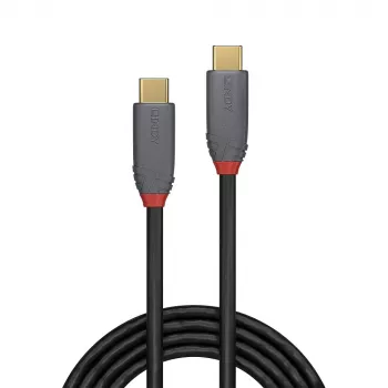 Lindy 36904 USB laidas USB 3.2 Gen 2 (3.1 Gen 2) 3 m USB C juodas
