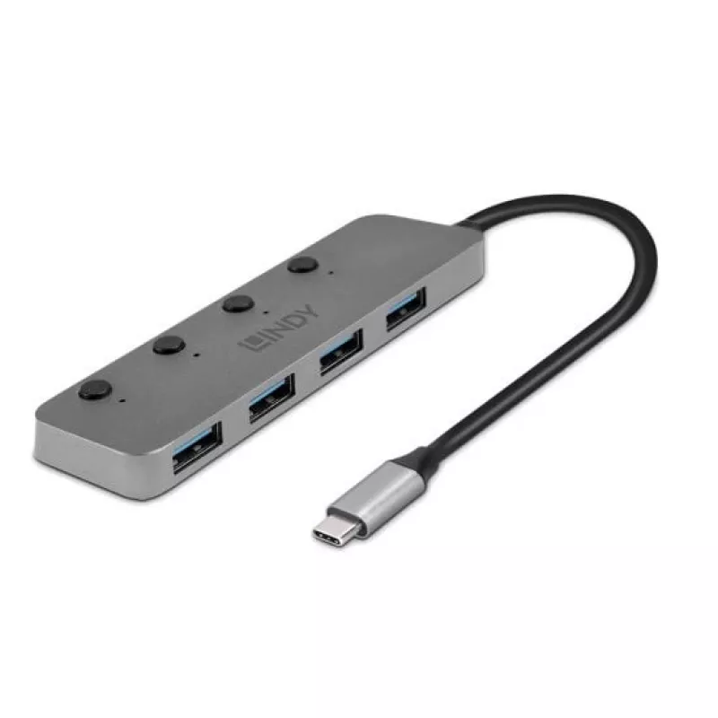 Lindy 4 prievadų USB 3.2 Type C šakotuvas su įjungimo/išjungimo jungikliais