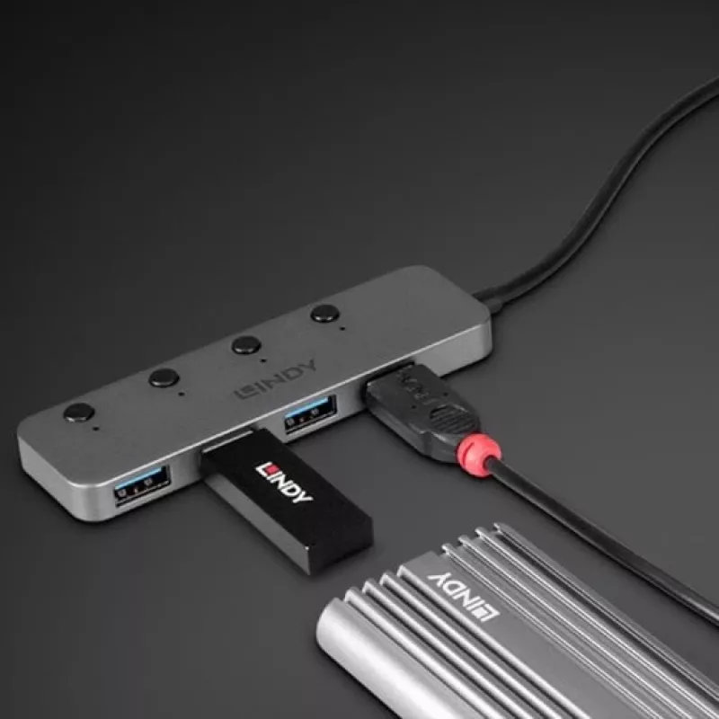 Lindy 4 prievadų USB 3.2 Type C šakotuvas su įjungimo/išjungimo jungikliais