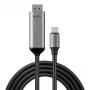 Lindy 43504 vaizdo kabelio adapteris 2 m USB Type-C DisplayPort Pilka