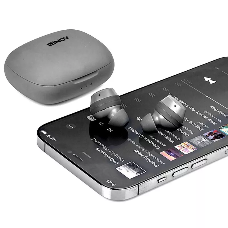 Lindy LE400W Ausinės Belaidės Į ausis įdedamos Muzika/Kasdienis USB Type-C Bluetooth Pilka