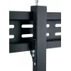 Signage Display Mount Reflecta 23175 152.4 cm 60 inch Juoda