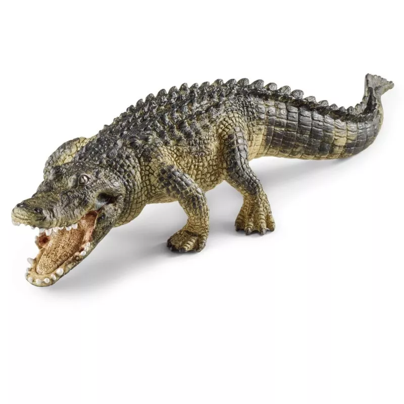 Figure Schleich WILD LIFE Alligator
