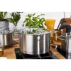 ZWILLING Multi Pot TrueFlow 66920-004-0 — nerūdijančio plieno puodas su stikliniu dangčiu, tinkamas plauti indaplovėje ir kepti orkaitėje, tinkamas halogeninėms kaitlentėms