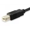 Equip USB 2.0 Type C į USB B kabelis, 1 m, USB B, USB C, USB 2.0, vyriška/vyriška jungtis, juodas