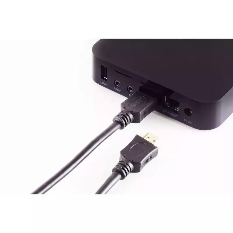 HDMI laidas S/CONN 77478-20 20 m
