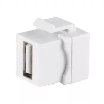 ShiverPeaks 08-10044 plokščias baltas USB A keystone modulis