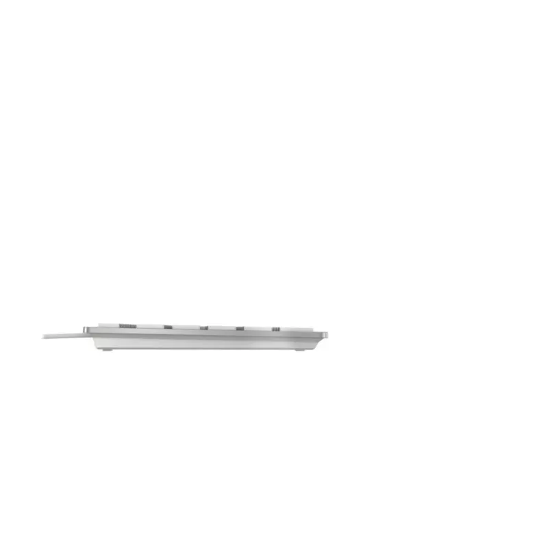 Klaviatūra Cherry CHERRY KC 6000C FOR MAC laidinė USB QWERTY žirkliniai klavišai sidabrinė 1.8 m