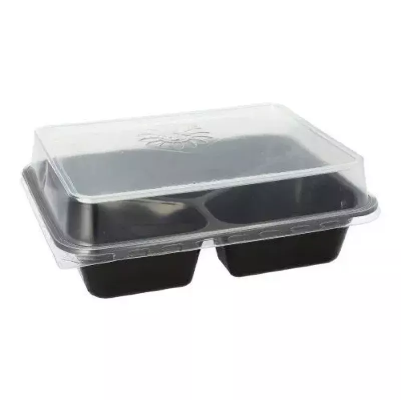 Papstar 96554 vienkartinis maisto laikymo indas, juodas, PET, 227x178x45 mm