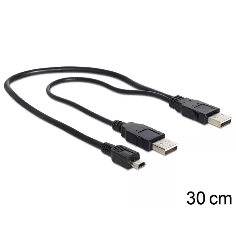 USB laidas DeLOCK 83178 USB 2.0 0,3 m 2 x USB A juodas