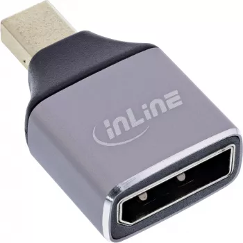 InLine 17291C laido lyties keitiklis DisplayPort Mini DisplayPort Pilka, Juoda