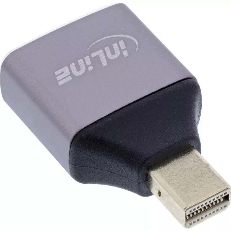 InLine 17291C laido lyties keitiklis DisplayPort Mini DisplayPort Pilka, Juoda