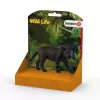 schleich WILD LIFE Juodoji pantera, 3 metai, Džiunglės, Laukinių gyvūnų / nuotykių žaislai, Įvairiaspalvė, Plastikas