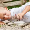 schleich Dinozaurai Triceratopsas, 4 metai, Žemės užkariavimas, Dinozaurai ir ugnikalnis, Įvairiaspalvis, Plastikas, 1 vnt.