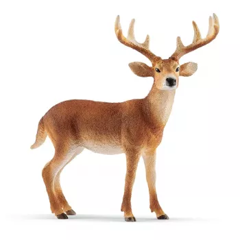 schleich WILD LIFE Baltauodegis elnias, 3 m., Miškas, Laukiniai gyvūnai / nuotykių žaislai, Įvairiaspalvis, Plastikas, 1 vnt.